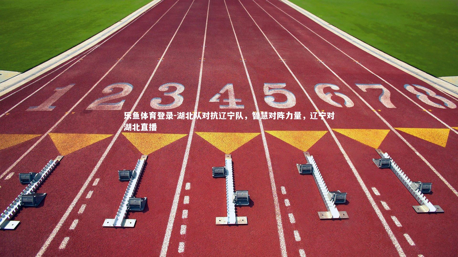 乐鱼体育登录-湖北队对抗辽宁队，智慧对阵力量，辽宁对湖北直播