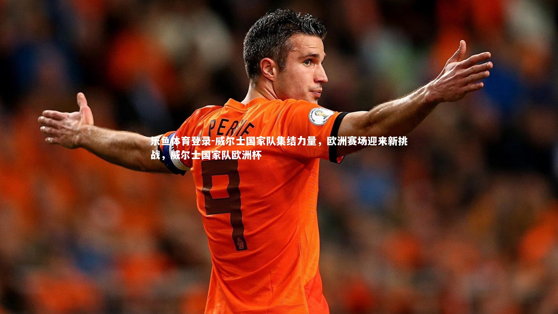乐鱼体育登录-威尔士国家队集结力量，欧洲赛场迎来新挑战，威尔士国家队欧洲杯