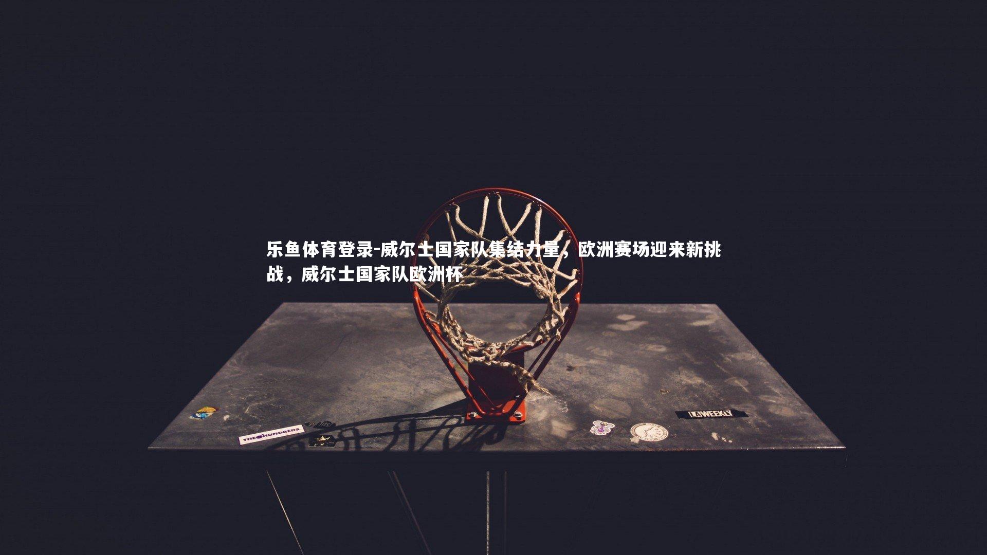 威尔士国家队集结力量，欧洲赛场迎来新挑战，威尔士国家队欧洲杯