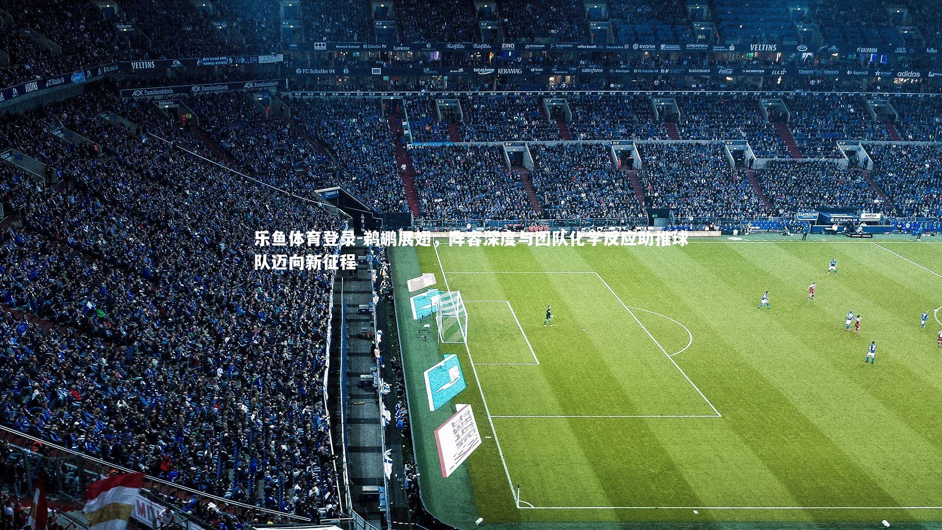 鹈鹕展翅，阵容深度与团队化学反应助推球队迈向新征程