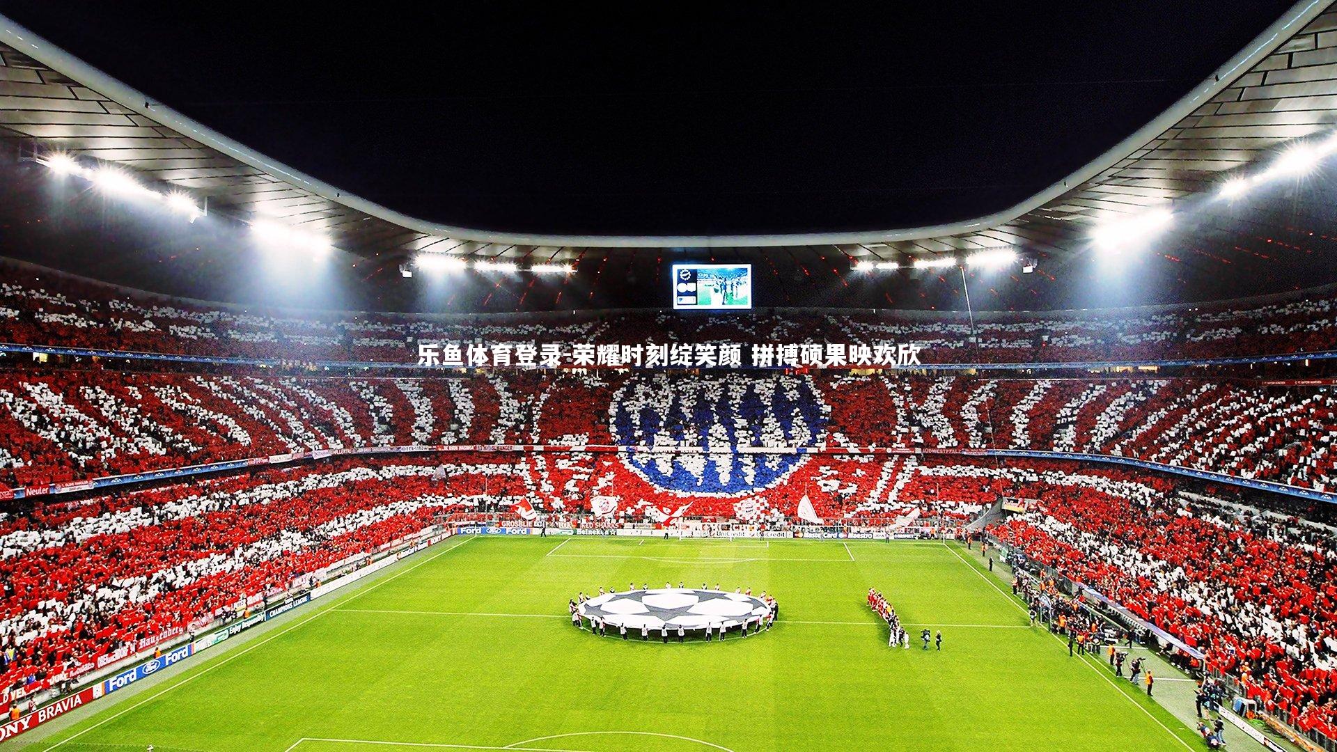 荣耀时刻绽笑颜 拼搏硕果映欢欣