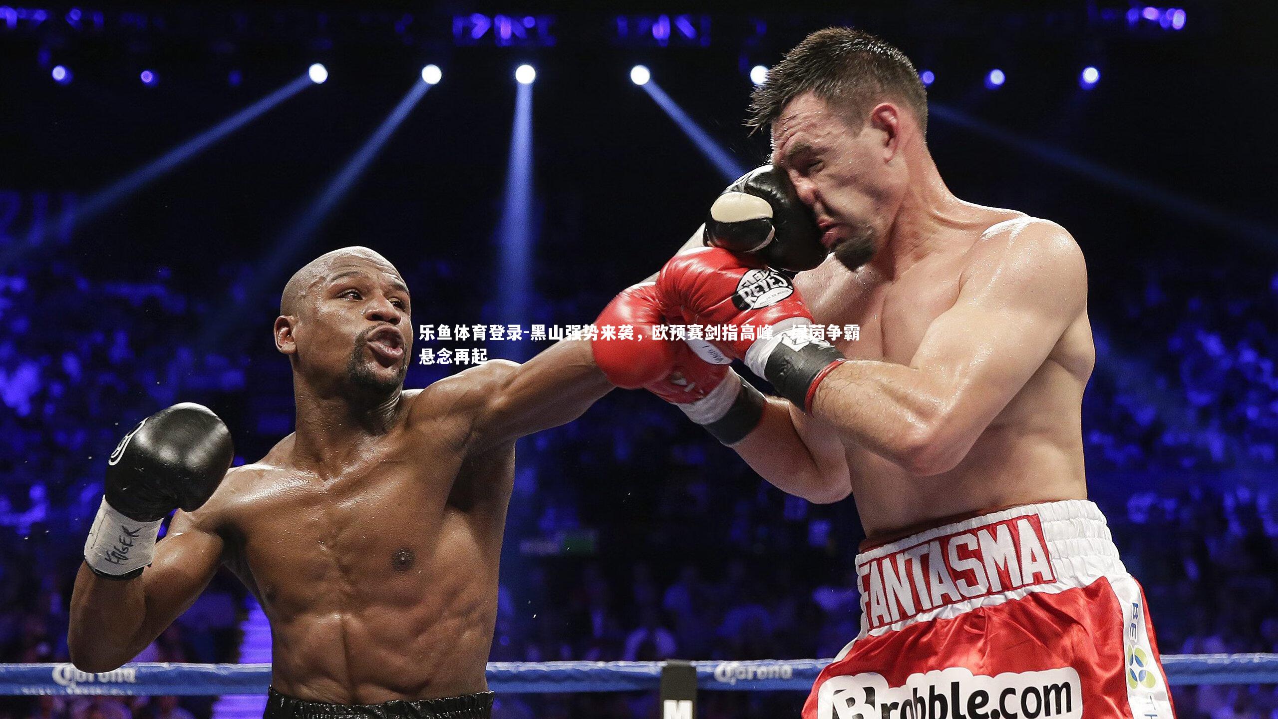 乐鱼体育登录-黑山强势来袭，欧预赛剑指高峰，绿茵争霸悬念再起